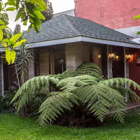 Апартаменти Mi Casa, Tu Casa Guatemala City Екстер'єр фото