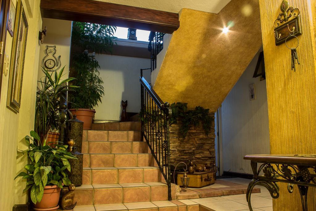 Апартаменти Mi Casa, Tu Casa Guatemala City Екстер'єр фото