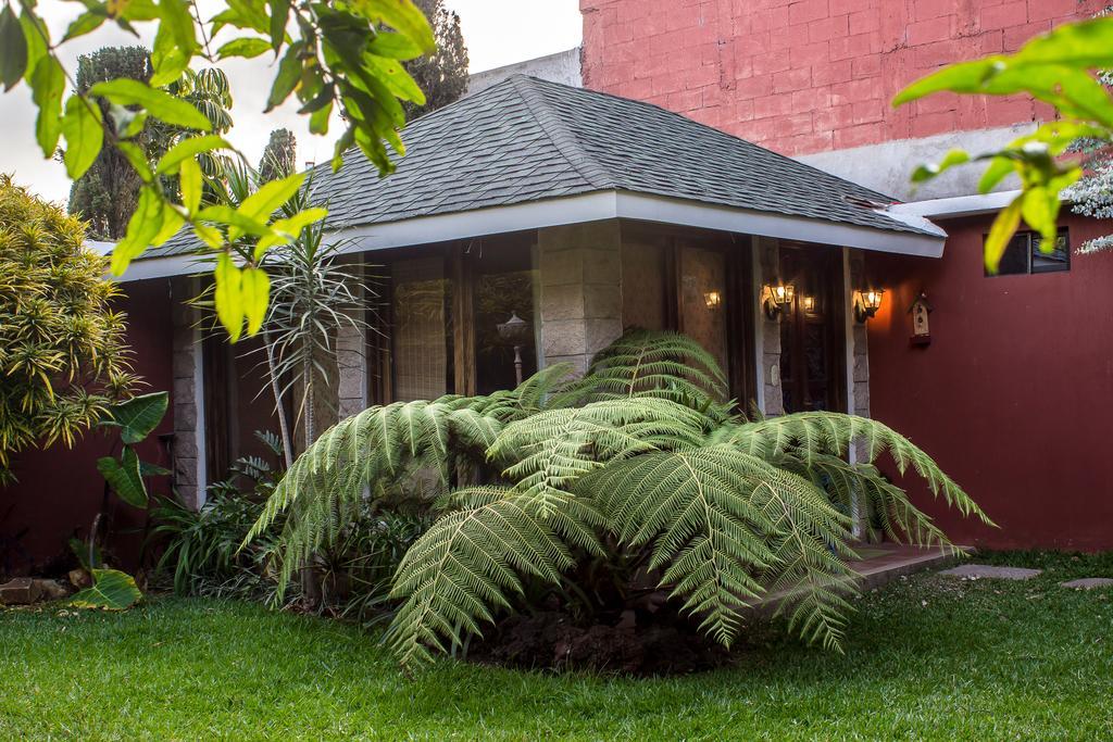 Апартаменти Mi Casa, Tu Casa Guatemala City Екстер'єр фото
